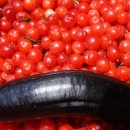 다마내기 이미지