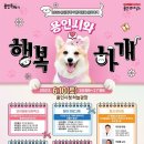 행복하개 이미지