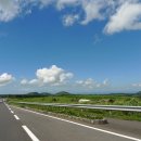 푸른 제주 이미지