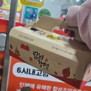 닭터강정본점