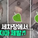 현지세차장 이미지