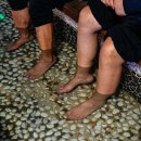 주정산로 이미지