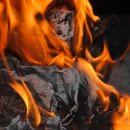 덕산면033 이미지