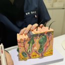 볼륨 | 부산 립퍼밍 입술관리 스킨릿에스테틱 건조입술 자연볼륨 후기