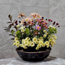 2025년 11월 2주 성전 꽃꽂이 - 시어머니와 며느리 카페에서 이미지