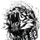 오피에스(OPS) 이미지