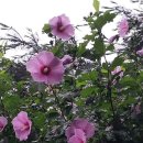 장대울천 이미지