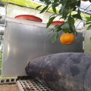 수아농원 이미지