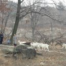 해원목장 이미지