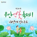 무안연꽃축제 취소 이미지