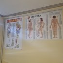 다올바디케어