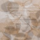 동래이야스콜라 이미지