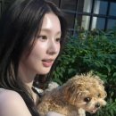더예쁘다 Daum카페