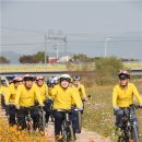 황룡강변 이미지