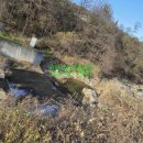 보광1리 이미지