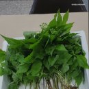 한아름실버케어센터 이미지