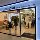 분당-329 이미지