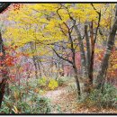 남해어시장 이미지