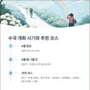 [테마 2026년 6월 13일 토요일) 국내 최대 규모, 윤제림 의 수국꽃 축제+(낙안읍성 경유)안내 이미지