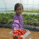 임영택농장 이미지