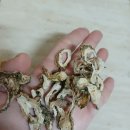 삼태리농장 | [여주환]양원농장 명작여주환 | 프리미엄 건강한식품 | 유기농여주 선물세트