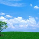 푸르른날 이미지