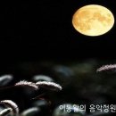 산들바람 (정인섭 詩, 현제명 曲) - 안산시립합창단 이미지