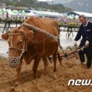 횡성한우 이미지