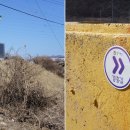 터미널5길 이미지