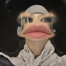 모즈토리나운점 이미지