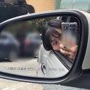 영광자동차병원 | 모든 게 다 차가워도 여전히 피어 있어 줘