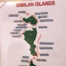 [태국여행_ 푸켓 Phuket] 스노쿨링, 다이빙을 즐길 수 있는 성지 &#39;시밀란&#39; 투어 솔직후기