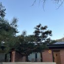 춘천여행 감성숙소 추천 포레스트 구봉