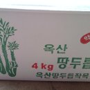 백제골1 Daum카페