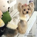 라즈베리힐 이미지