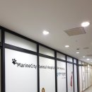 마린동물병원 이미지