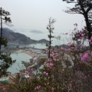 개미궁
