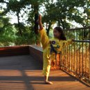 S.H 신흥태권도 이미지