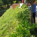 제암산 무당벌레화장실 이미지