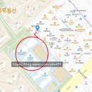 중앙초등학교 앞 이미지