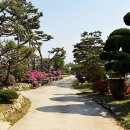 발효정원 이미지