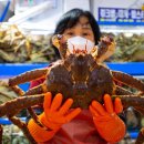 대신수산 이미지