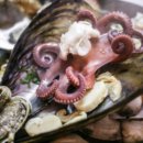 묵호수산 이미지