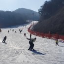 놀거리 천국 정선 하이원 스키 박투어