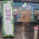 문화발전소 창공 | [시흥시청]2022반려식물병원 참가자 추가모집 후기