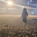 &lt;뮤지컬 데스노트_부산&gt;