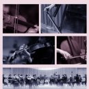 제7회 정기연주회 이미지