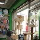 BOB 애견용품 아울렛 이미지