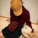 박주현 카카오 검색결과