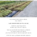 정말 고소한 국산 참기름, 들기름 판매합니다!! 이미지